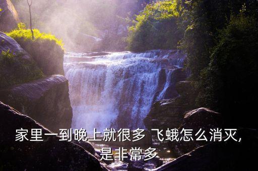 家里一到晚上就很多 飛蛾怎么消滅,是非常多
