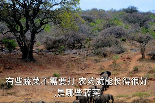 有些蔬菜不需要打 農(nóng)藥就能長得很好,是哪些蔬菜