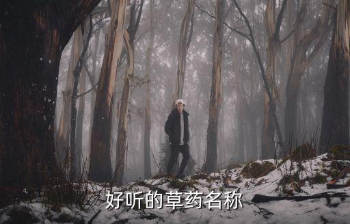 好聽的草藥名稱