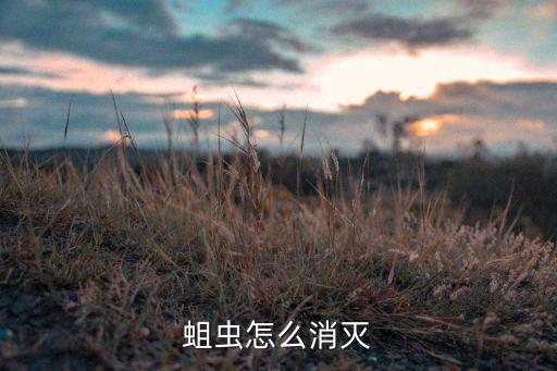蛆蟲怎么消滅