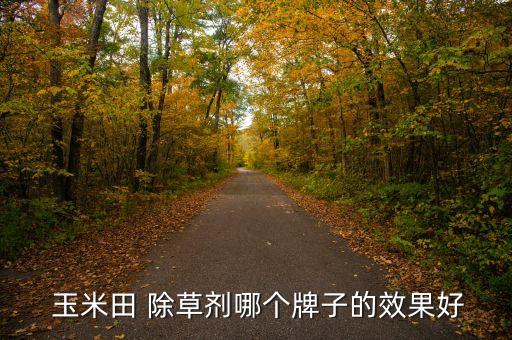 玉米除草劑打什么農藥,除草劑屬于什么農藥