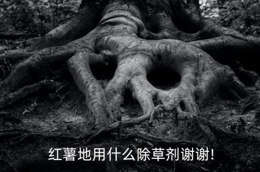  紅薯地用什么除草劑謝謝!