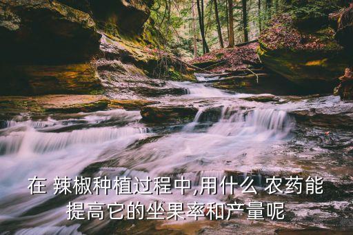 在 辣椒種植過程中,用什么 農藥能提高它的坐果率和產量呢