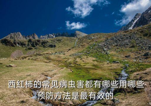  西紅柿的常見病蟲害都有哪些用哪些預防方法是最有效的