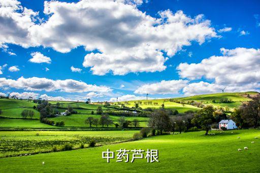 ,什么農藥能除葦子