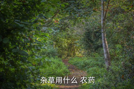  雜草用什么 農藥