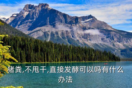 豬糞,不甩干,直接發(fā)酵可以嗎有什么辦法