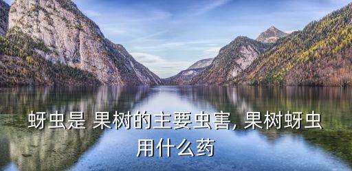 打果樹農藥機器噴霧器,果樹打農藥用什么助劑
