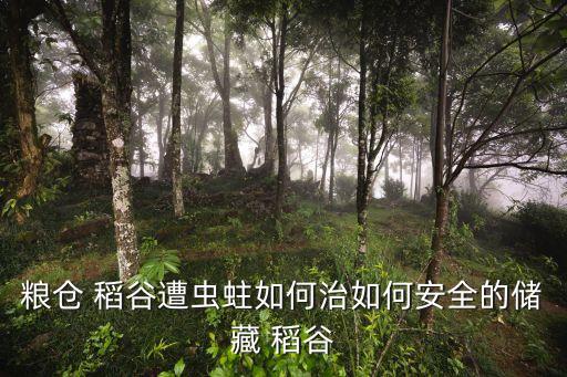 稻谷蟲怕什么農(nóng)藥殘留,水稻田最怕什么農(nóng)藥殘留