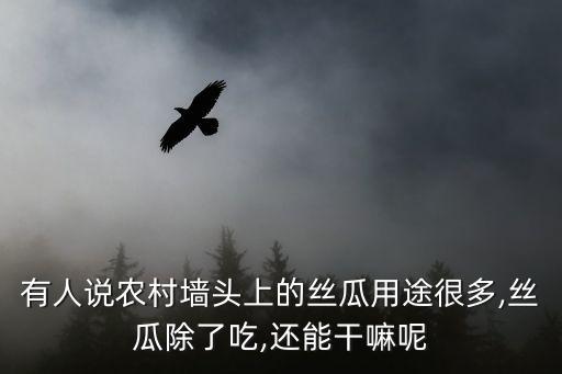 什么農藥可殺死藤根蟲,大樹用什么農藥可快速殺死