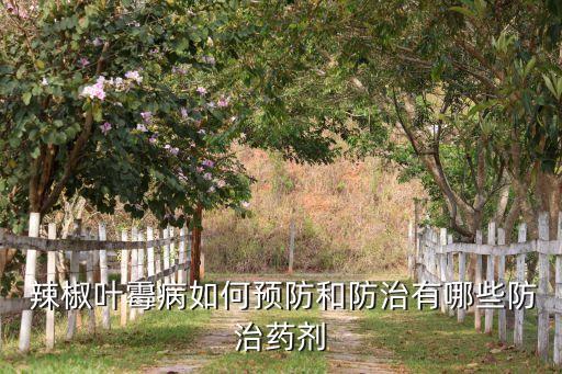 辣椒防病有什么農藥7,打辣椒農藥什么時間打效果好