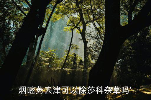 打鐵莧菜打什么農(nóng)藥除掉