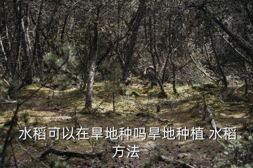  水稻可以在旱地種嗎旱地種植 水稻方法