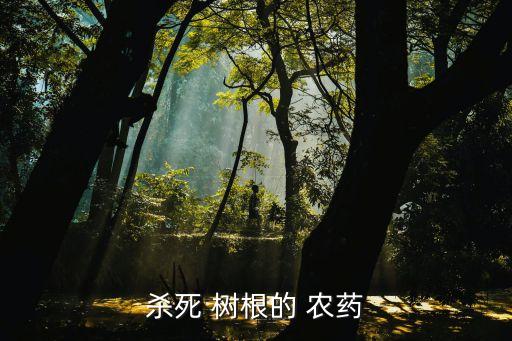 殺死 樹(shù)根的 農(nóng)藥
