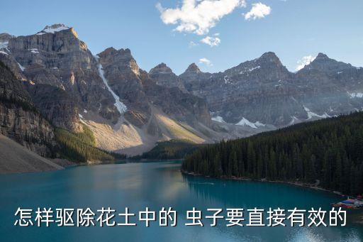 怎樣驅除花土中的 蟲子要直接有效的