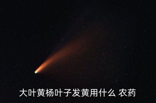 大葉黃楊葉子發(fā)黃用什么 農(nóng)藥