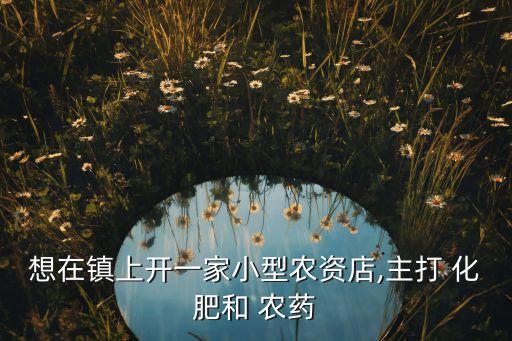 想在鎮(zhèn)上開一家小型農(nóng)資店,主打 化肥和 農(nóng)藥