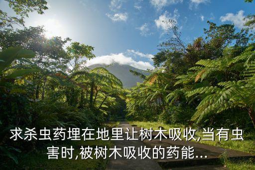 求殺蟲藥埋在地里讓樹木吸收,當(dāng)有蟲害時,被樹木吸收的藥能...