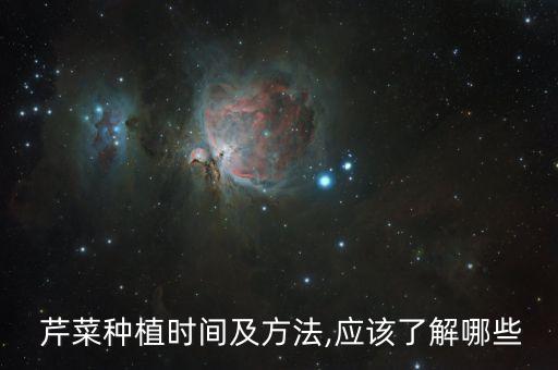  芹菜種植時間及方法,應該了解哪些