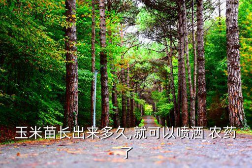 玉米苗長(zhǎng)出來(lái)多久,就可以噴灑 農(nóng)藥了