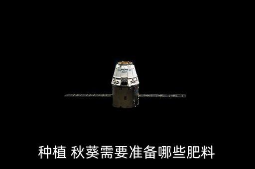 種植 秋葵需要準備哪些肥料