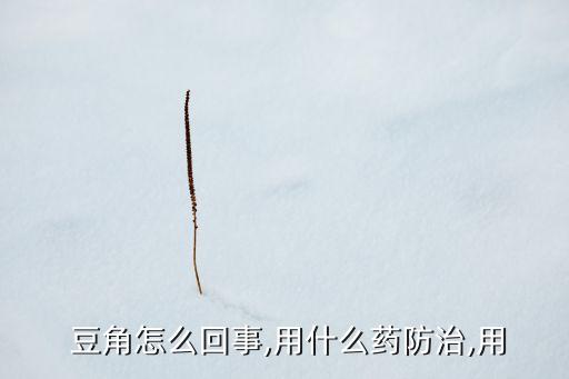  豆角怎么回事,用什么藥防治,用