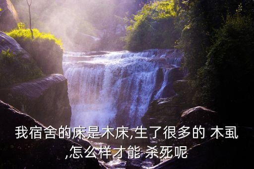 我宿舍的床是木床,生了很多的 木虱,怎么樣才能 殺死呢