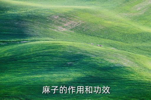  麻子的作用和功效