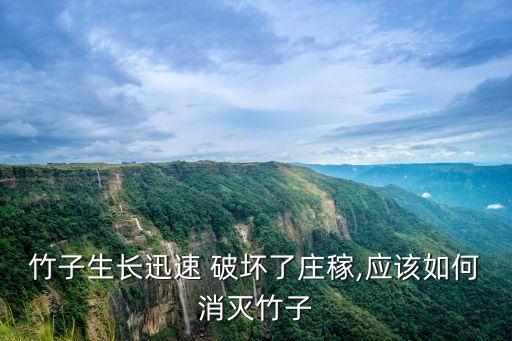 竹子生長迅速 破壞了莊稼,應該如何消滅竹子
