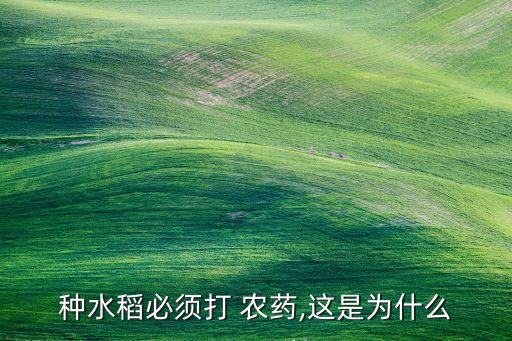 種水稻必須打 農藥,這是為什么