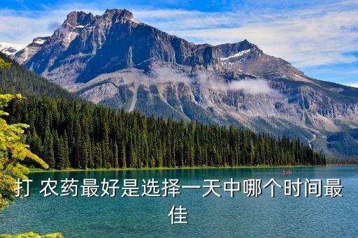 果樹打農(nóng)藥是什么時(shí)間,打果樹農(nóng)藥機(jī)器噴霧器