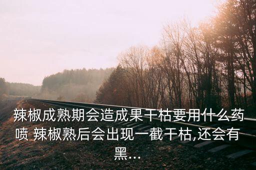  辣椒成熟期會造成果干枯要用什么藥噴 辣椒熟后會出現一截干枯,還會有黑...