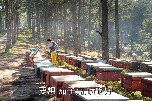 打茄子用什么農藥好打些,什么農藥對茄子有害