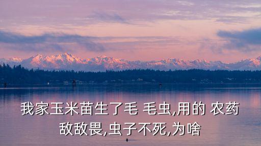 我家玉米苗生了毛 毛蟲,用的 農(nóng)藥敵敵畏,蟲子不死,為啥
