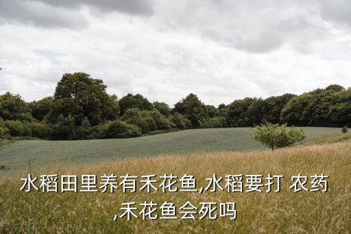 馬魷魚(yú)噴灑農(nóng)藥什么梗