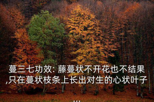 藤蔓用什么農(nóng)藥可以枯死,什么農(nóng)藥能使樹枯死
