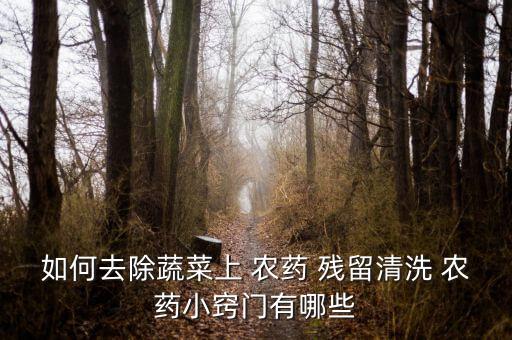 如何去除蔬菜上 農藥 殘留清洗 農藥小竅門有哪些