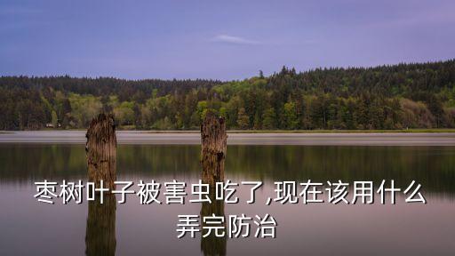  棗樹葉子被害蟲吃了,現在該用什么弄完防治