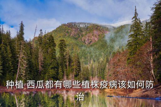 西瓜黃蟲用什么農(nóng)藥好,西瓜一般打什么農(nóng)藥