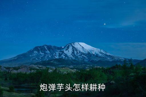 炮彈芋頭怎樣耕種