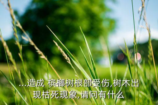 檳榔爛根病用什么農藥,什么農藥可以讓樹爛根