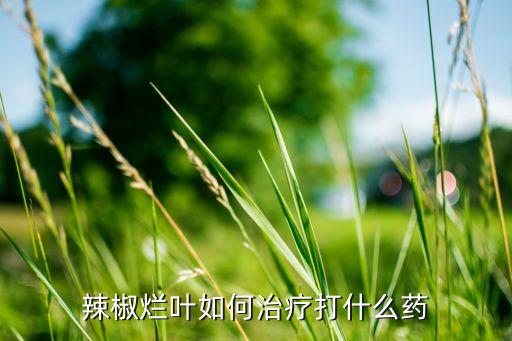 葉莓病用什么農(nóng)藥,日灼病用什么農(nóng)藥最好