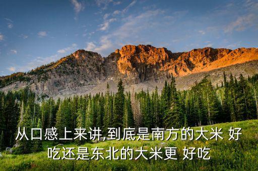 什么米農(nóng)藥少又好吃,什么蔬菜水果農(nóng)藥少