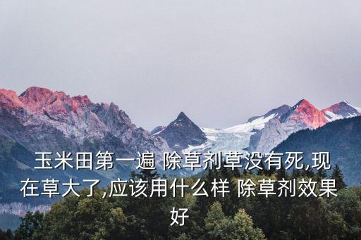 什么農(nóng)藥打玉米除草好,興園農(nóng)藥玉米田除草產(chǎn)品