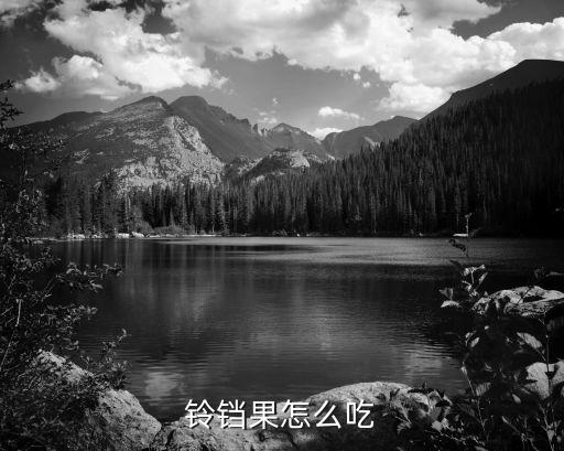 鈴鐺果怎么吃