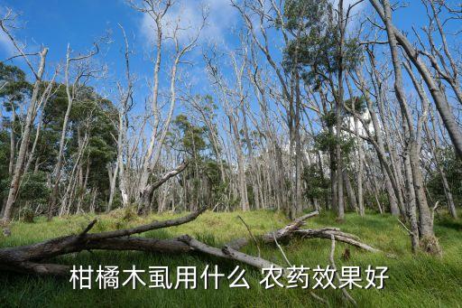 柑橘木虱用什么 農藥效果好
