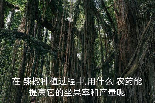 在 辣椒種植過程中,用什么 農(nóng)藥能提高它的坐果率和產(chǎn)量呢