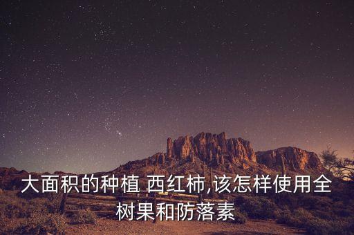西紅柿緩苗噴什么農(nóng)藥,什么時間育西紅柿苗最佳