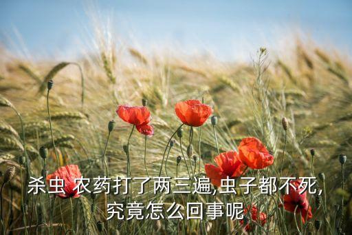 殺蟲 農(nóng)藥打了兩三遍,蟲子都不死,究竟怎么回事呢