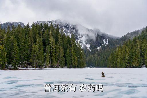 普洱茶有 農(nóng)藥嗎